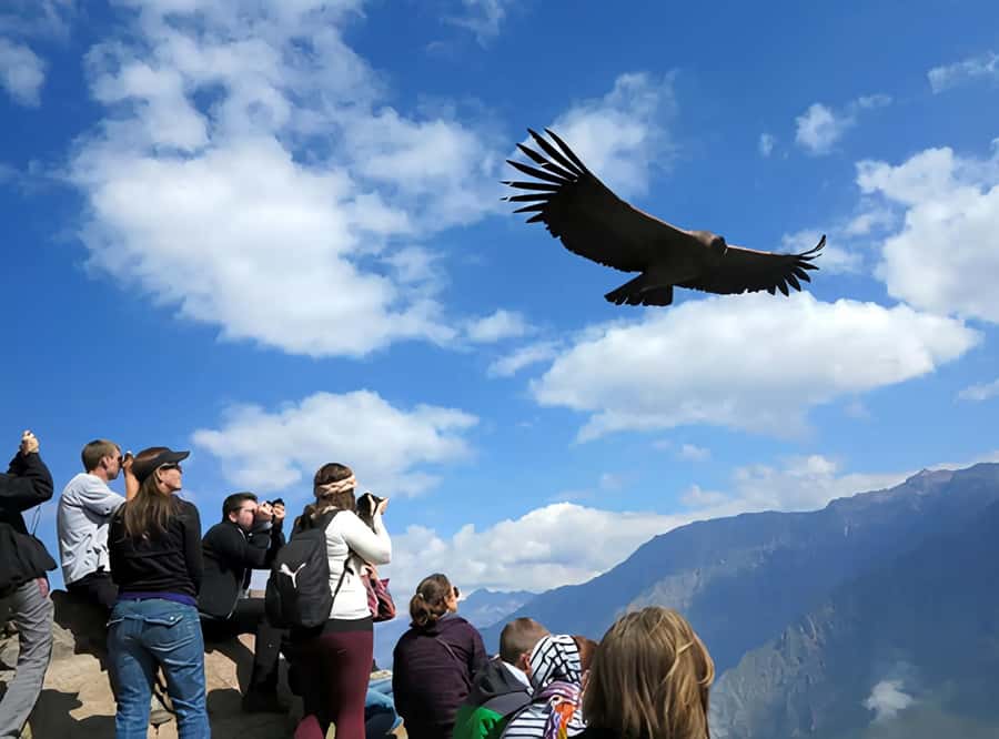 Arequipa: Full Day Colca Canyon Tour Roundtrip from Arequipa - Muyurina and the working terraces