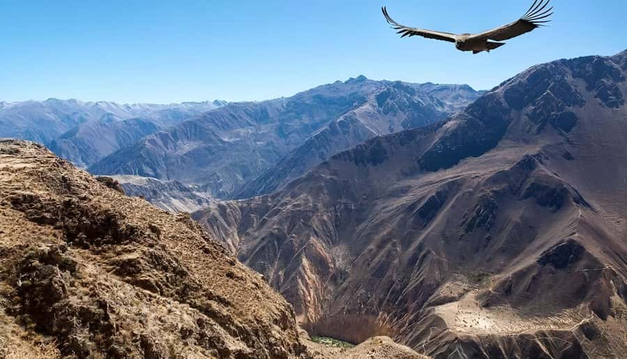 Arequipa: Full Day Colca Canyon Tour Roundtrip from Arequipa - Hot springs after an early start