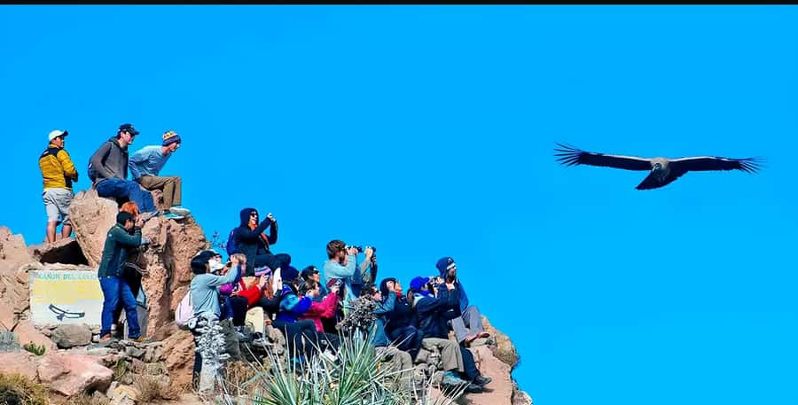 Arequipa: Full Day Colca Canyon Tour Roundtrip from Arequipa - Before sunrise in Arequipa