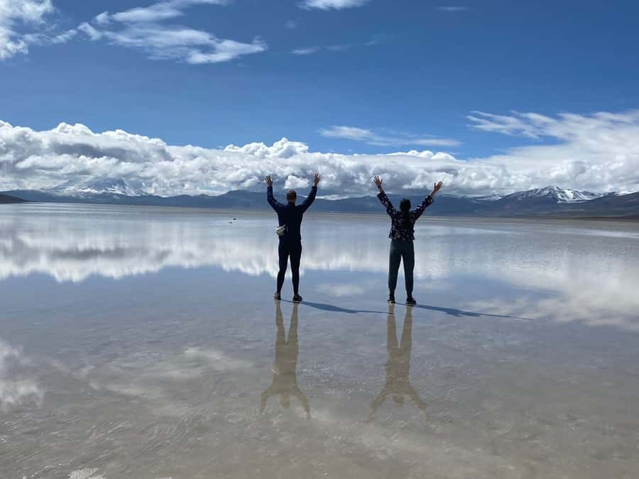 Arequipa: Full-Day Tour to Salinas Salt Lake - Wildlife in the Salinas and Aguada Blanca area