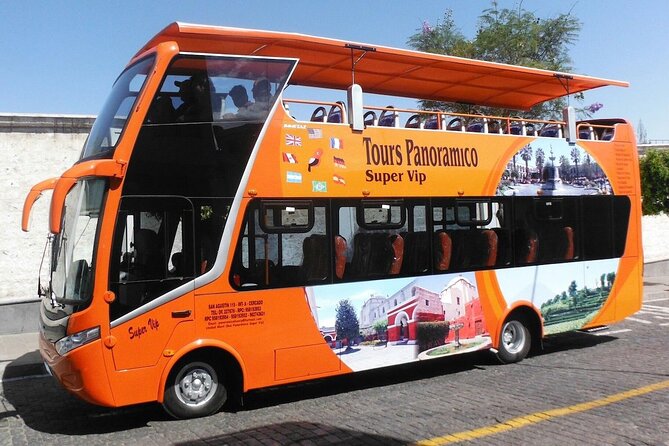 Arequipa Panoramic bus tour - Incalpaca Outlet and the South American camelids