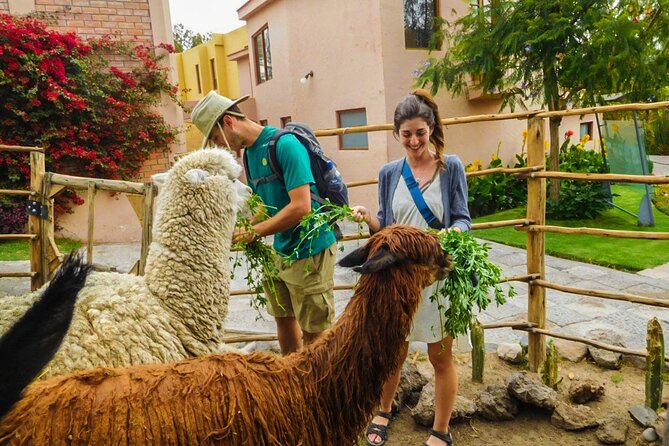 Arequipa Panoramic bus tour - A stop that may not suit every visitor