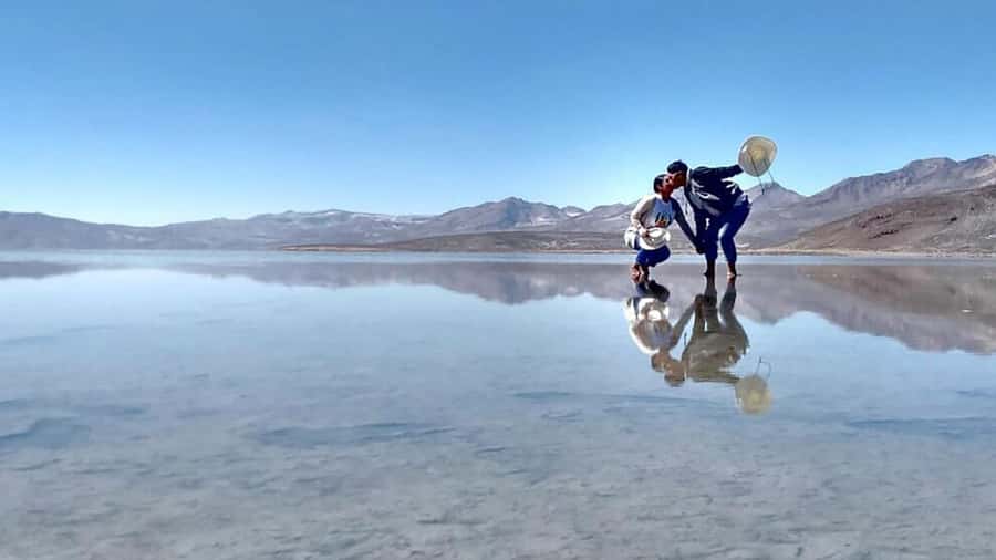 Arequipa: Salinas Lagoon Tour Offer Price - Why this high-altitude day trip works