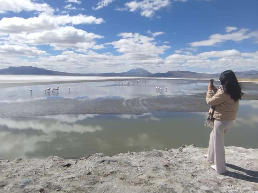 Arequipa: Salinas Lagoon Tour Offer Price - Salinas Lagoon and the famous water mirrors