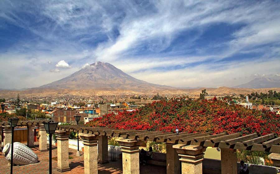 Arequipa: Walking Tour and Santa Catalina Monastery - Key things to know before you book