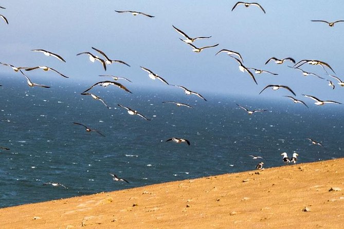 ATV Tour Adventure in Reserva Nacional de Paracas - Weather and cancellation rules