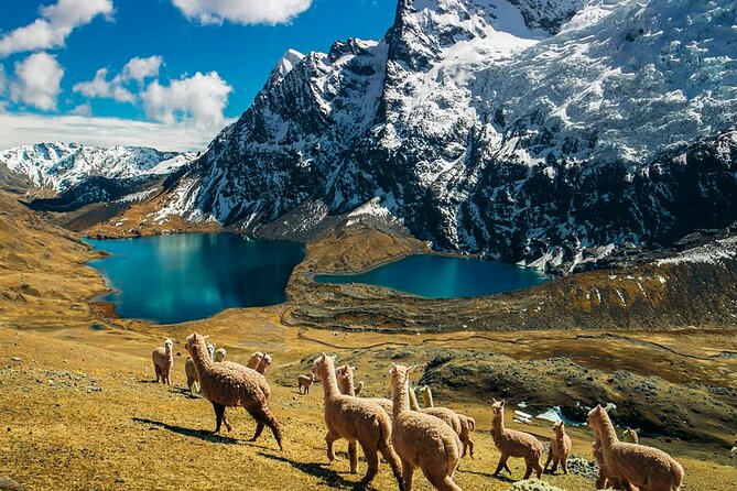 Ausangate Glacier Quad Adventure Tour - Key points at a glance