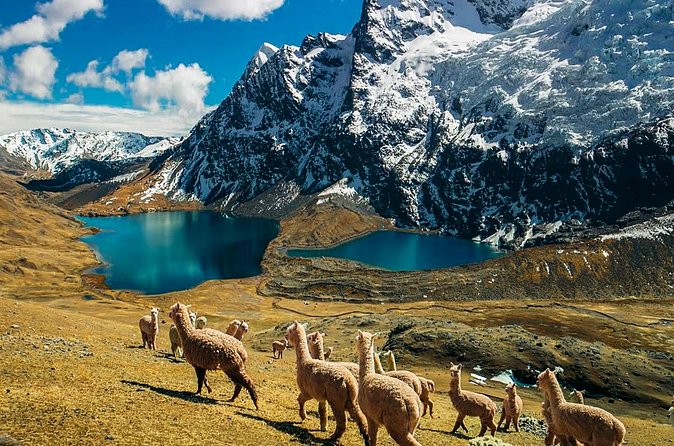 Ausangate Glacier Quad Adventure Tour - What the $96.05 price really covers