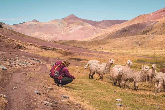 Ausangate Trek And Rainbow Mountain 5 Days - All Inclusive - Food, water, and daily support