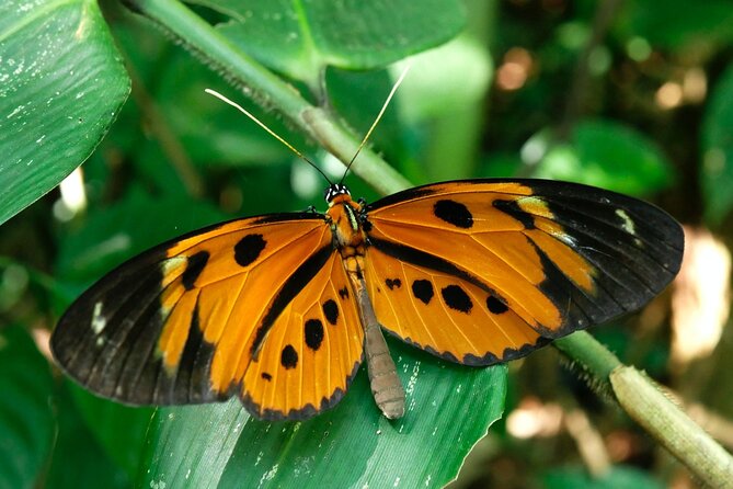 Aventuras Inolvidables en el Parque Nacional del Manu: - How the group size affects the experience