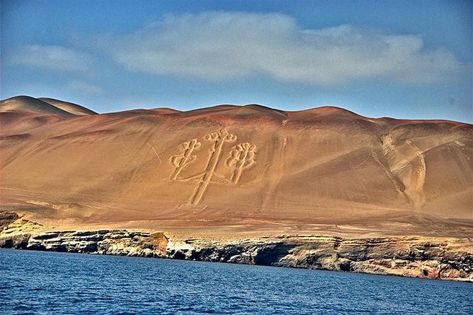 Ballestas island & Paracas reserve from PISCO CRUISESHIP TERMINAL - Why this makes sense on a Pisco cruise stop