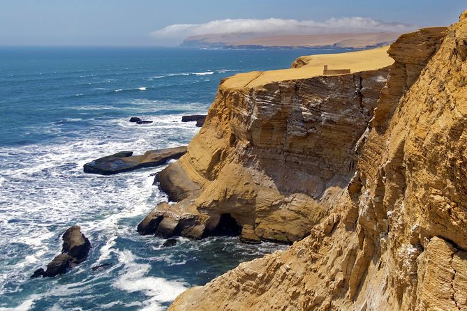 Ballestas island & Paracas reserve from PISCO CRUISESHIP TERMINAL - A 40-minute break in Paracas