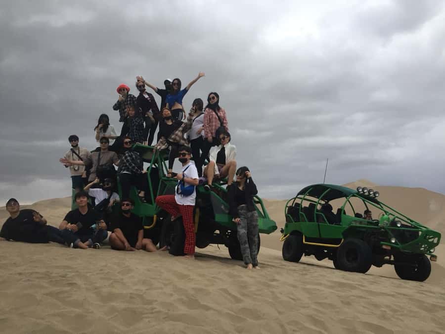 Ballestas Islands and Huacachina Oasis Half-Day Tour - Key points at a glance