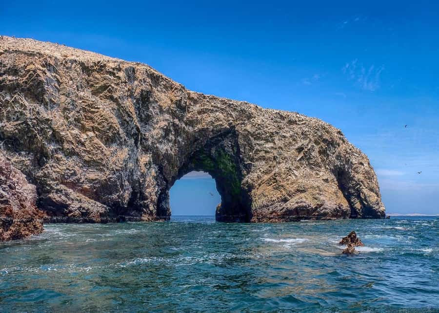 Ballestas Islands and Huacachina Oasis Half-Day Tour - Huacachina Oasis and the giant dunes