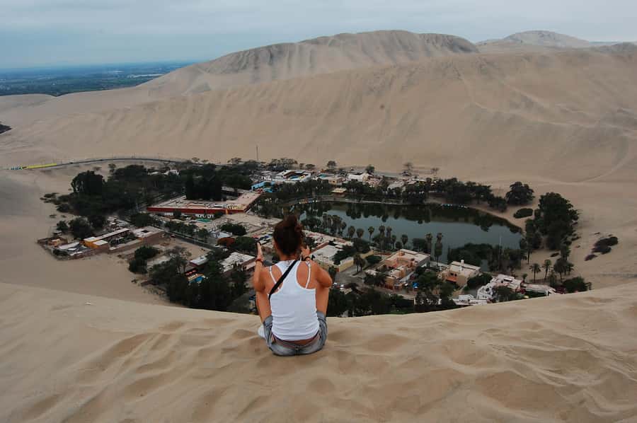 Ballestas Islands and Huacachina Oasis Half-Day Tour - The Ballestas Islands boat ride