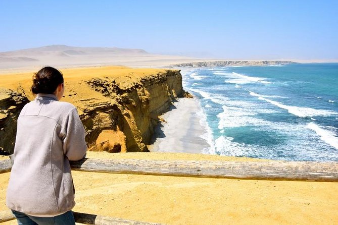 Ballestas Islands and Paracas National Reserve Day Trip from Paracas - Why this Paracas day trip works