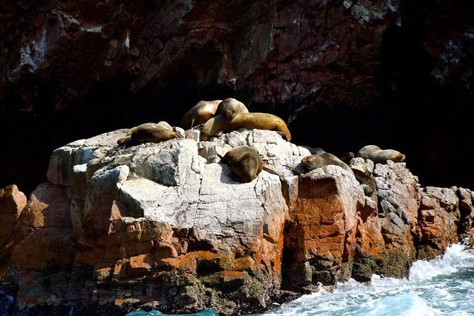Ballestas Islands and Paracas National Reserve Day Trip from Paracas - The two-hour gap between excursions