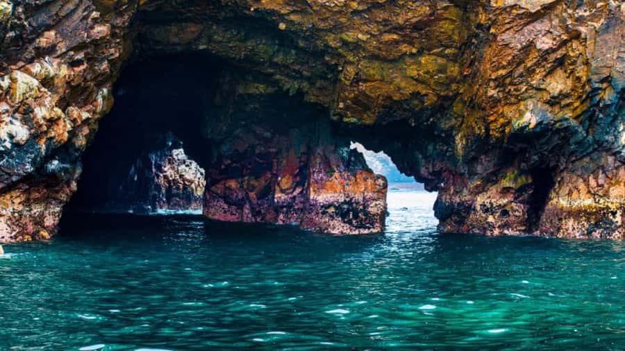 Ballestas Islands & Paracas National Reserve from Paracas - The Candelabro and the morning boat ride