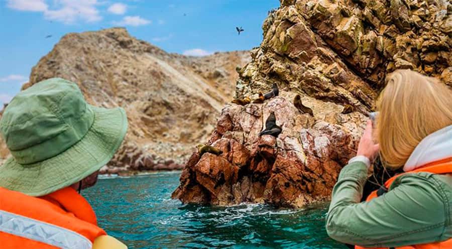 Ballestas Islands: Peru’s Natural Paradise boat tour - The 15-Minute Ride Across the Bay
