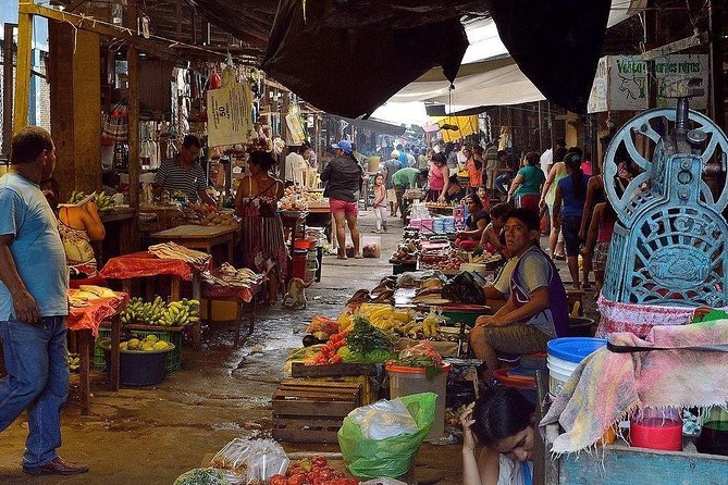 Belen Market & Floating City 2-3 Hour Private Tour - Who should book this Iquitos tour?