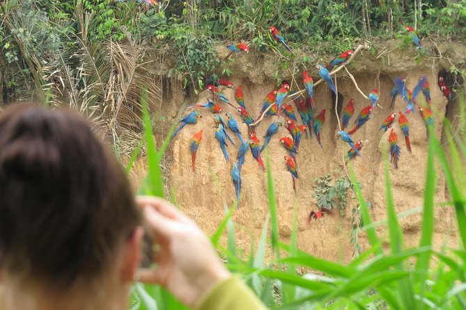 Best of Tambopata 3 nights by JunglePro - Key points to know before booking