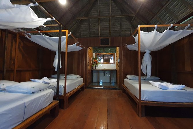 Best of Tambopata 3 nights by JunglePro - Day 3: Sachavacayoc Lake and evening caiman watching