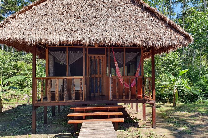 Best of Tambopata 3 nights by JunglePro - Day 4: A relaxed return to Puerto Maldonado