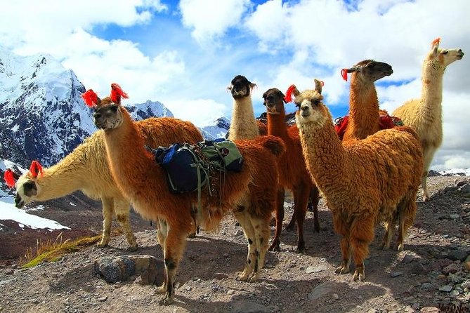 Best One-Day Rainbow Mountain & Red Valley Excursion - Leaving Cusco before sunrise