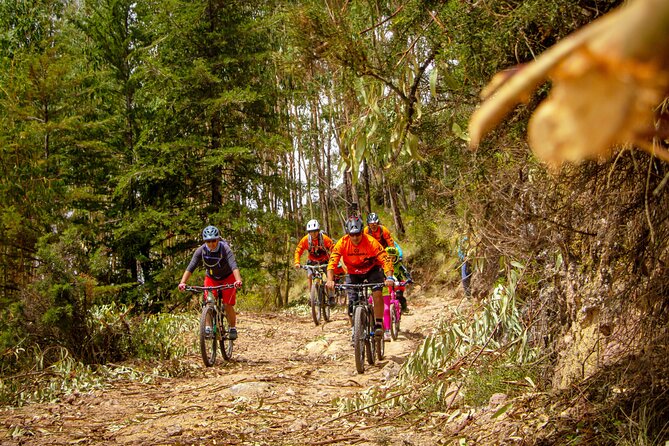 Bike and Ceviche Tour in Cusco - MTB - Key points to know before you book