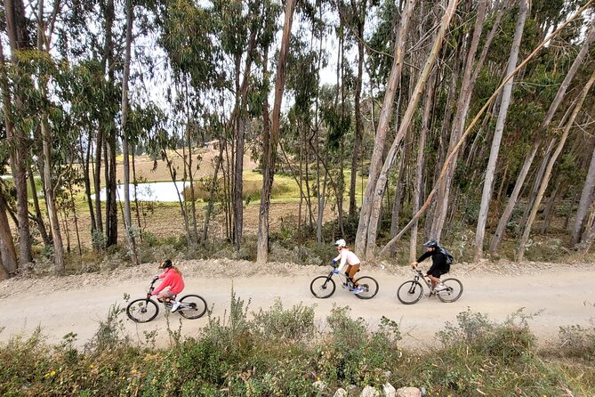 Bike and Ceviche Tour in Cusco - MTB - From mountain biking to a ceviche lesson