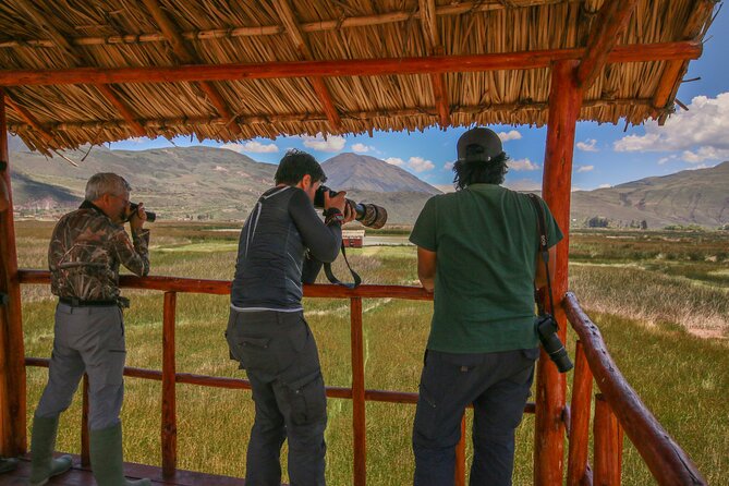 Birdwatching at Huacarpay Wetland in Cusco - What the guide adds to the morning