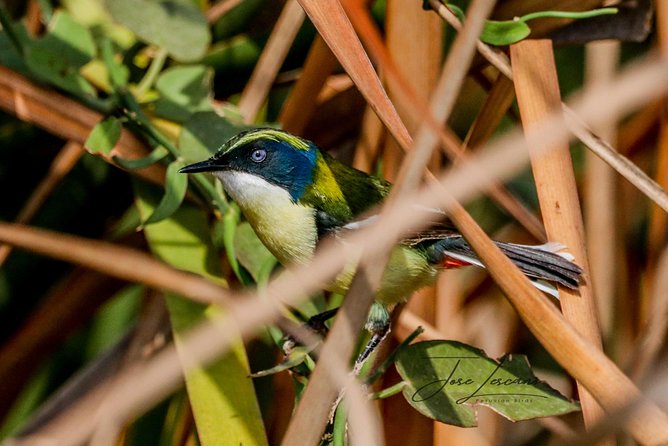 Birdwatching at Huacarpay Wetland in Cusco - Weather, seasons, and realistic expectations
