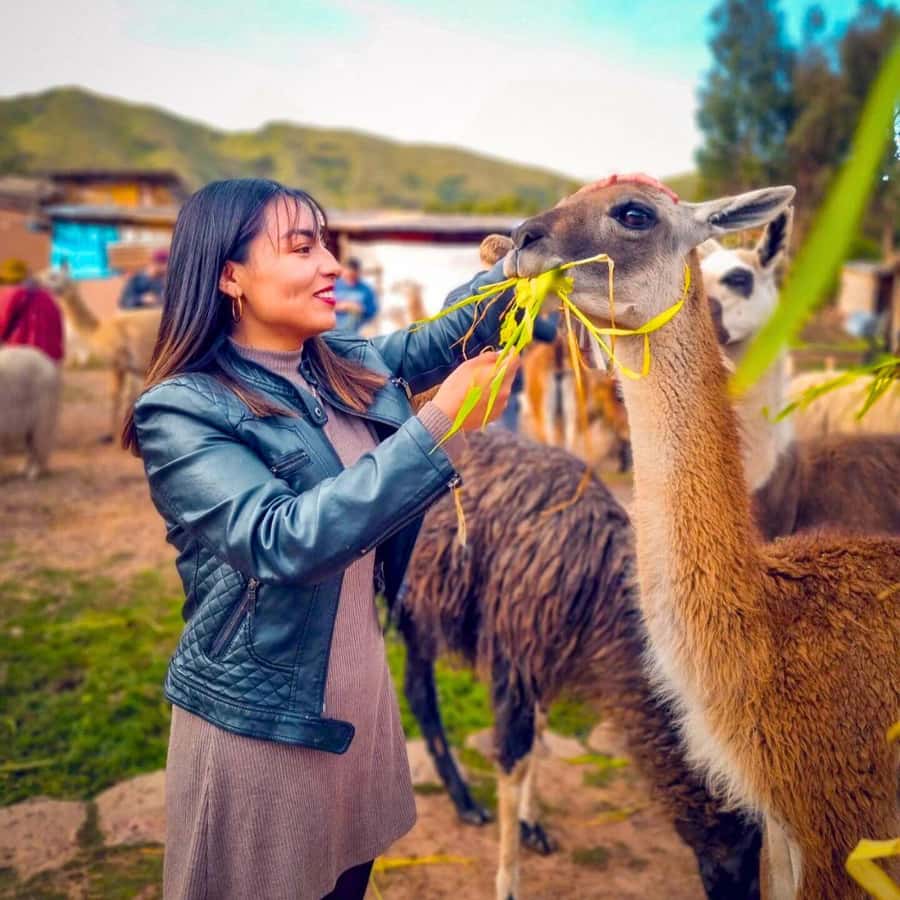 BUS 180 CUSCO - The Cathedral, Cristo Blanco, and Qorikancha