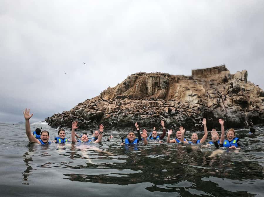 Callao: Swimming with Sea Lions Palomino Islands Boat Tour - Key points to know before booking