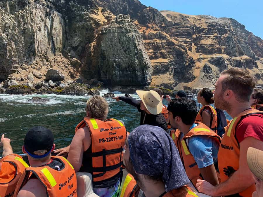 Callao: Swimming with Sea Lions Palomino Islands Boat Tour - Why the Palomino Islands are worth your time