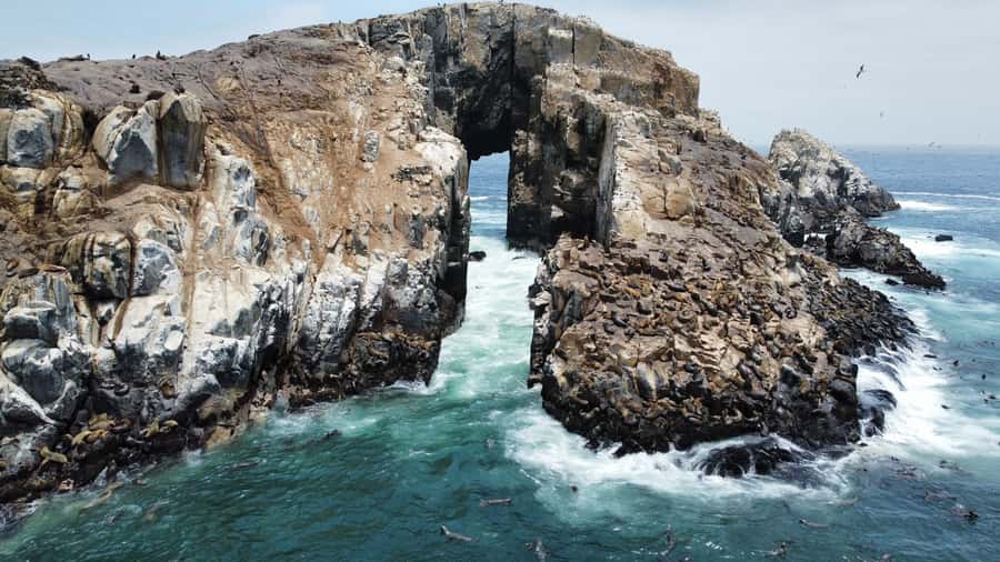 Callao: Swimming with Sea Lions Palomino Islands Boat Tour - Meeting at El Mirador in Callao
