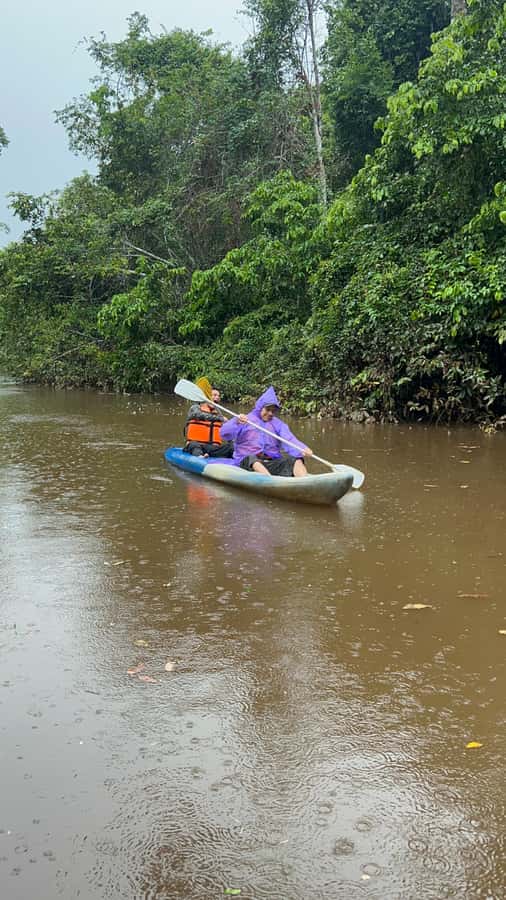 Canopy Tower, Zipline, Kayak, and Monkey Island … - A full Amazon day for $62