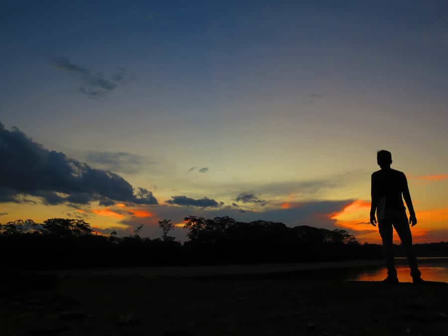Capibara and caiman search on the Tambopata river - Key points before you book