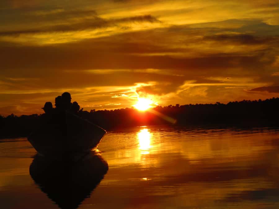 Capibara and caiman search on the Tambopata river - Why the 3:30 pm departure works well