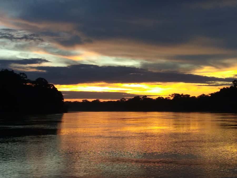 Capibara and caiman search on the Tambopata river - What the guide adds to the experience