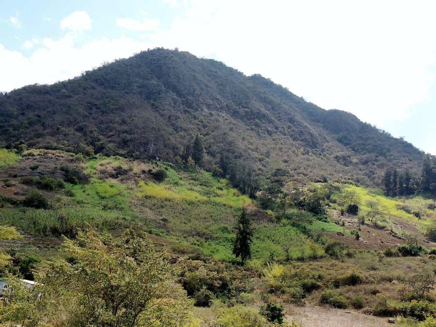 Chiclayo: Chaparri Ecological Reserve Tour - Key points to know before booking