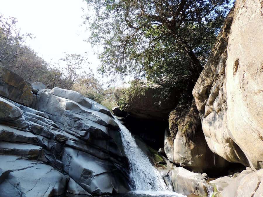 Chiclayo: Chaparri Ecological Reserve Tour - Birdwatching on the White-winged Guan route