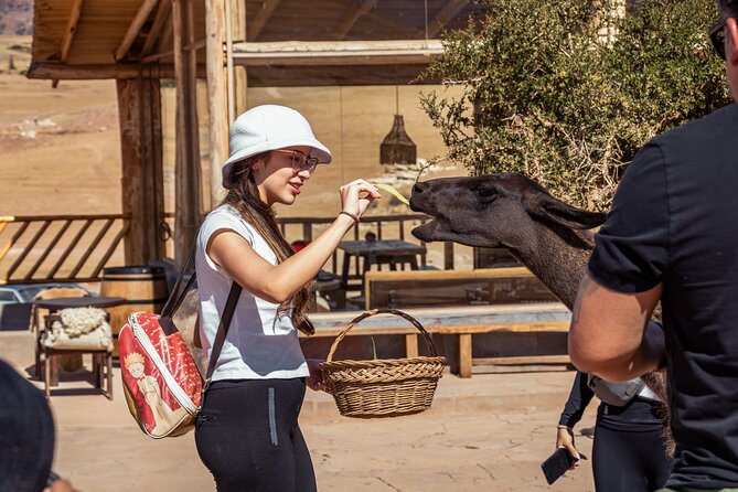 Chinchero, Moray & Maras Day Tour with Llama Picnic from Cusco - Timing, pickup, and the long ride home