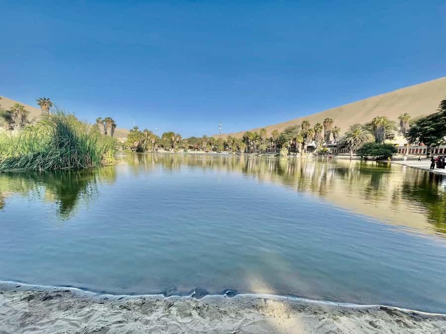 CITY TOUR ICA-HUACACHINA+BUGGIES IN PRIVATE CAR FROM PARACAS - Huacachina, the oasis in the sand
