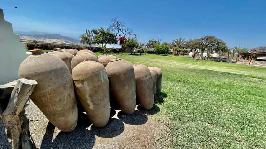 CITY TOUR ICA-HUACACHINA+BUGGIES IN PRIVATE CAR FROM PARACAS - Sandboarding and the extra-cost question