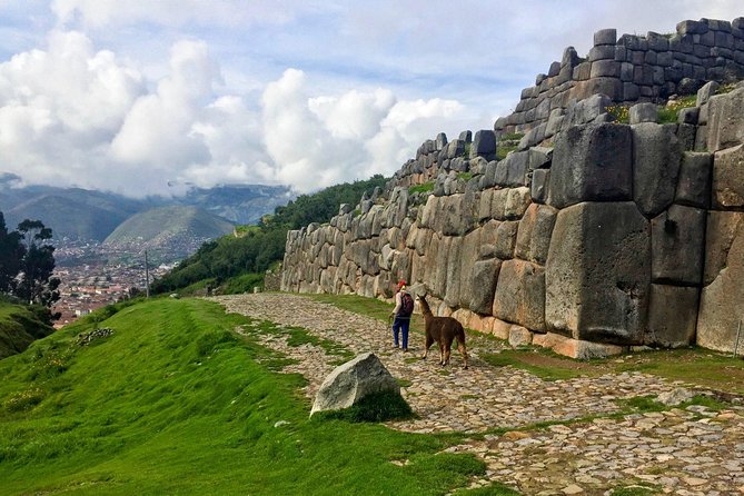 City Tour in Cusco & visit Museum South American Camelid Private. - Manos de la Comunidad and the camelid visit