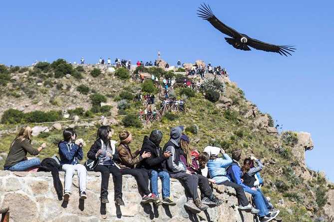 Colca 2 Days and 1 Night - Guides, drivers, and the private format
