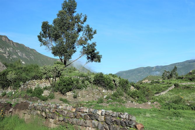Colca Canyon / 2 Day 1 Night Trek - Cruz del Cóndor and the famous canyon view