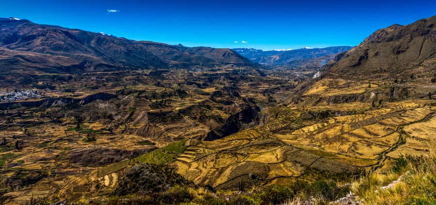 Colca Canyon: 2-Day Tour from Arequipa to Puno - Arriving at Lake Titicaca and Puno