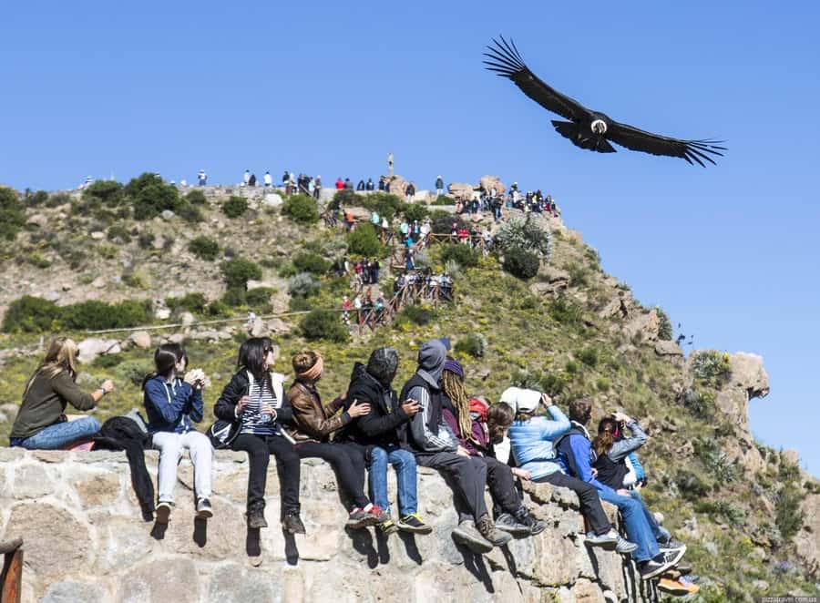 Colca Canyon: 2-Day Tour from Arequipa to Puno - Day one: Arequipa to Chivay through the high Andes